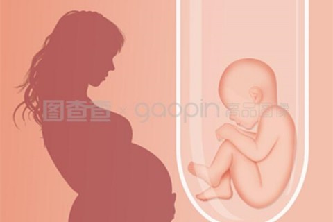 http://quanzhou.hy-ly.com/post/208.html|泉州人工试管
