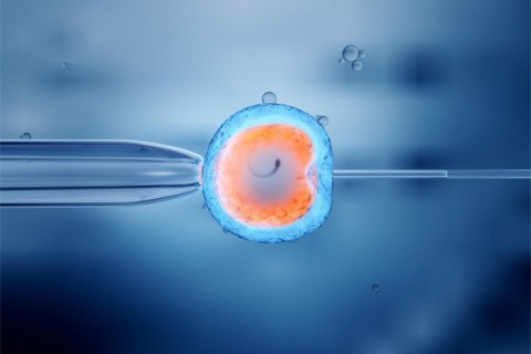http://quanzhou.hy-ly.com/post/213.html|泉州助孕案例