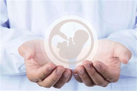 http://quanzhou.hy-ly.com/post/203.html|泉州试管助孕
